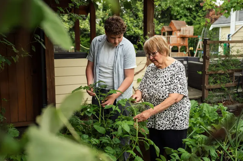 Un jeune homme et une dame en chemisier à motifs cueillent ensemble des feuilles dans un potager.