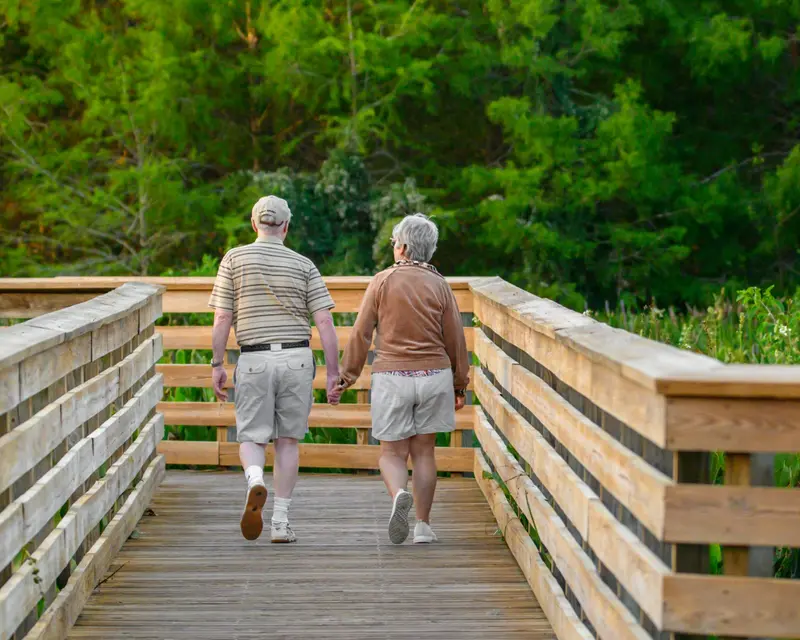 Deux personnes âgées marchent côte à côte, de dos, sur un ponton de bois bordé de verdure.